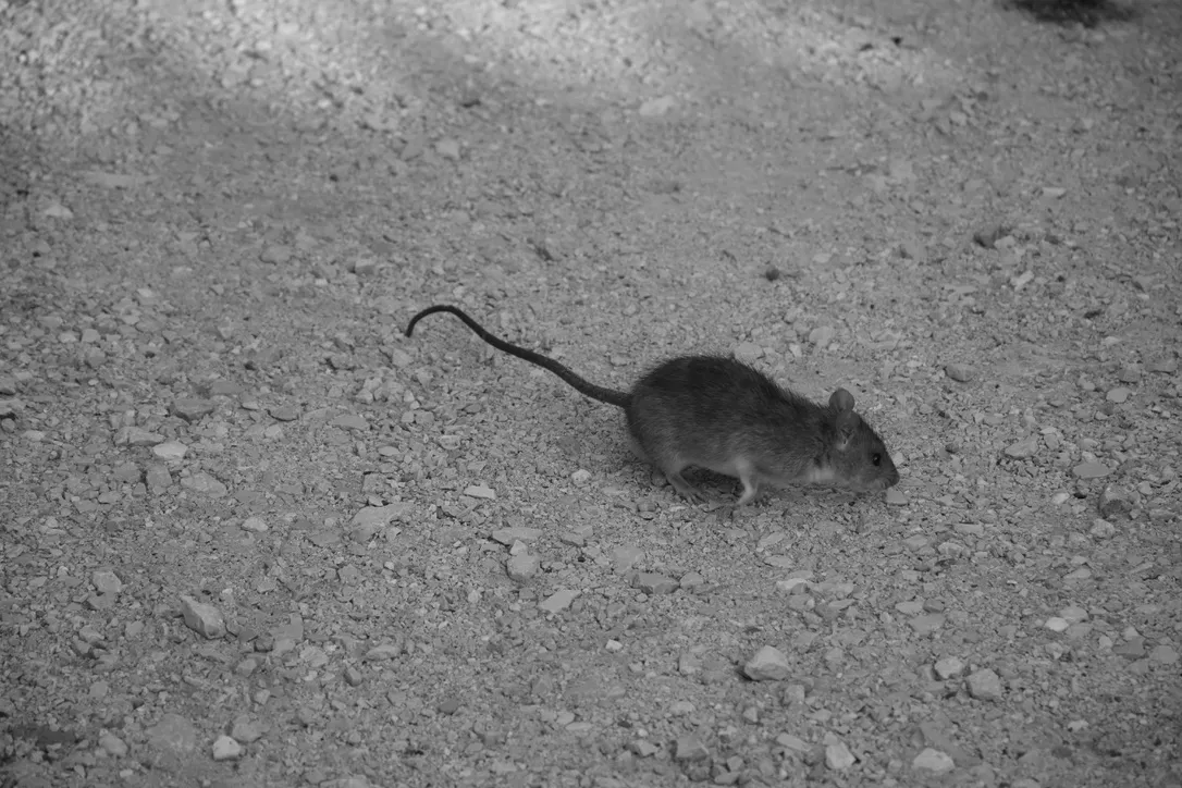 9783258083155(c)Fiona Hofer-Ratte Marseille1